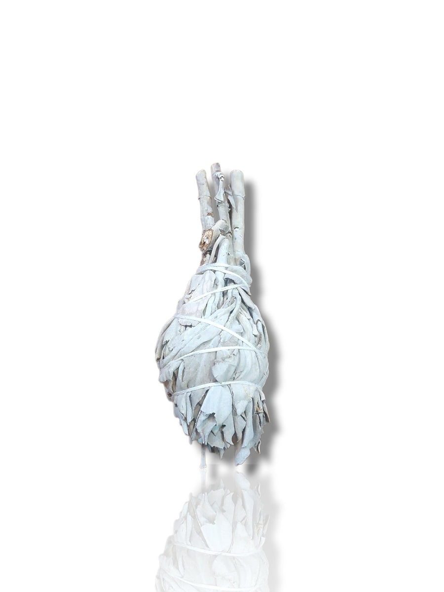 Californian White Sage – Healthy Living