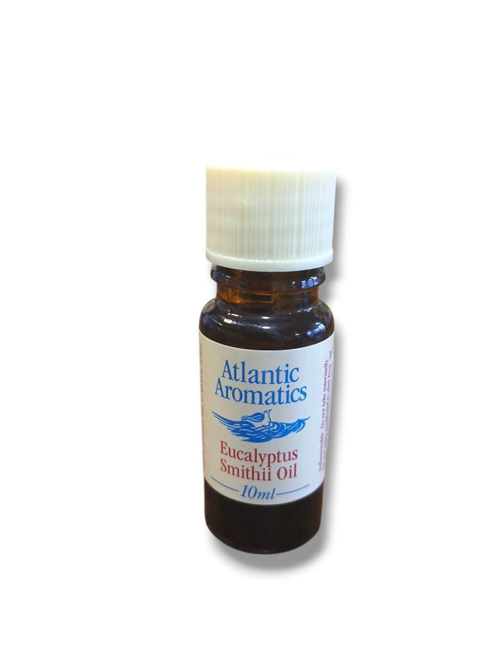 Atlantic Aromatics Eucalyptus Smithii Oil 10ml - Healthy Living