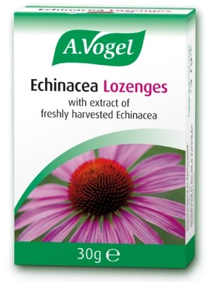 A. Vogel Echinacea Lozenges 30gm - Healthy Living