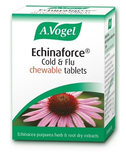 A. Vogel Echinaforce 40tabs - Healthy Living