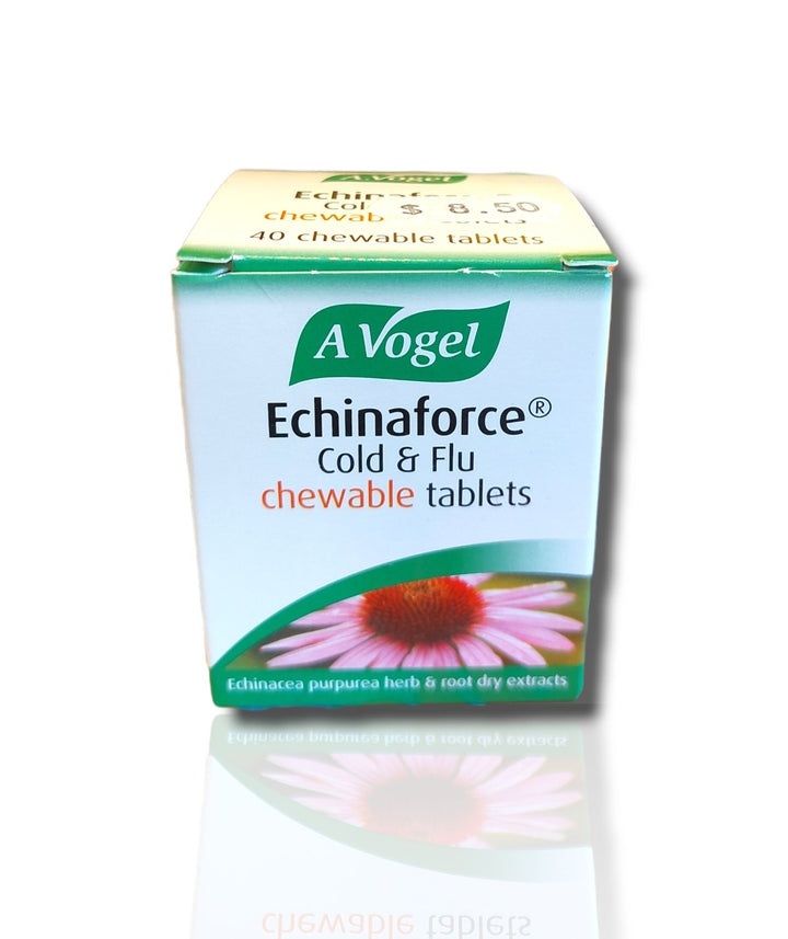 Vogel Echinaforce 40tabs - HealthyLiving.ie